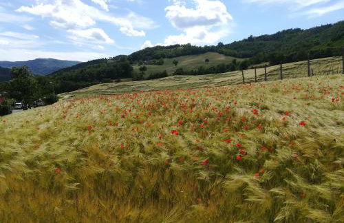 La Cartiera dei Benandanti - Foto 97