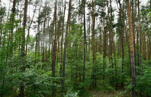 Daleko od Szosy - Foto 16