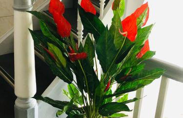 Ferienhof - Ferienwohnung - Foto 19