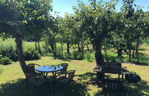 Czytelnia w Sadzie - Foto 21