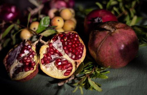 Villa Dei Pini - Foto 48