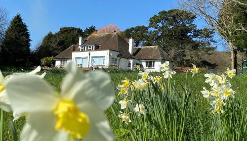 Broad Mead - Photo 4, Garden