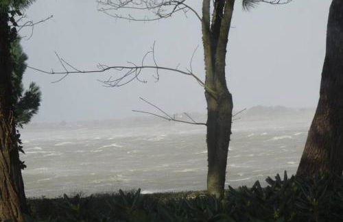 Ty Gwenn, dans un parc boisé, la plage à vos pieds - Foto 25