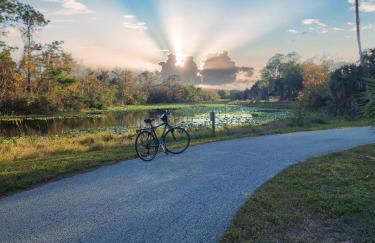 Largo, Fl Heated Pool 2 miles from Indian Rocks Beach Pets - Foto 71