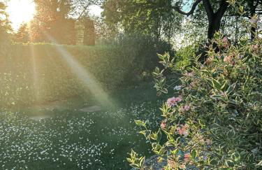 Lake Garda Hills - Photo 14