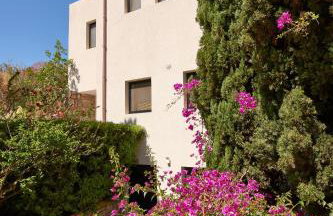 Cape Kitries - Photo 128