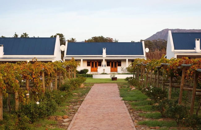 Endless Vineyards at Wildekrans Wine Estate - Photo 34