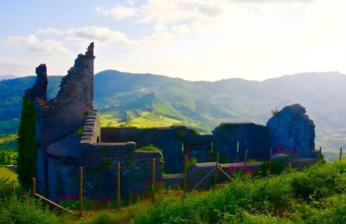 Hilary house - Photo 22