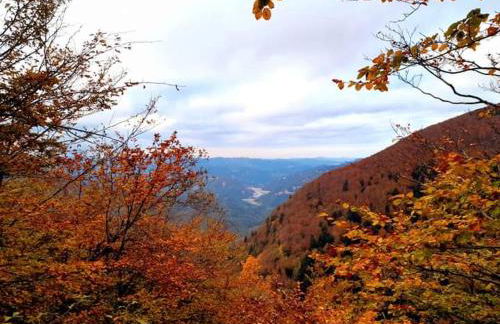 La Sala Vecchia - Lovely Tuscan Holiday house Badia Prataglia, Casentino Valley - Foto 34