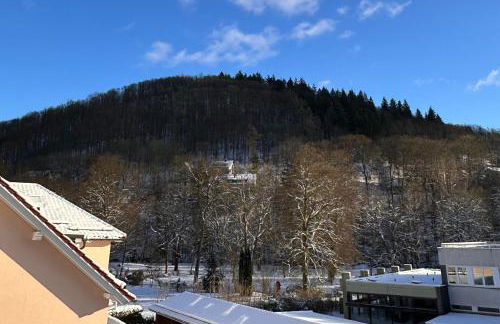 Fewo Scholbenblick - Photo 9