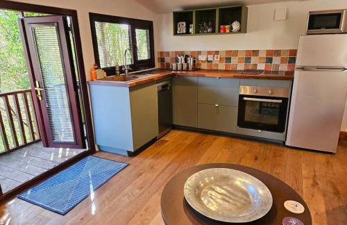 Treetops Lodge, private Cornish hideaway, parking, garden - Foto 26