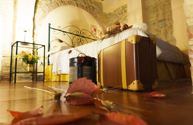 Tenuta Sant'Ilario - Foto 27