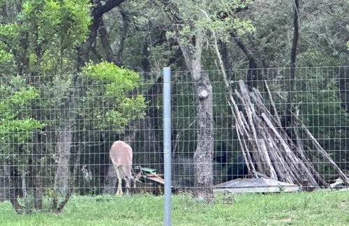 Tiny house - Our little piece of paradise - Foto 66