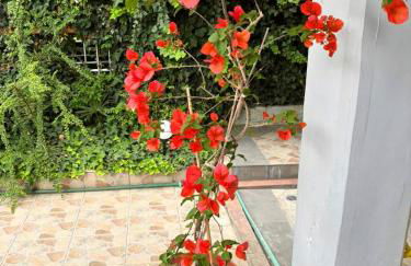 Nikol Apartments - Foto 25