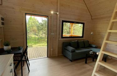 Domki Sosnowy Zakątek Swornegacie - Foto 43