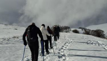 Agriturismo Le Case di Quarantotti - Foto 2