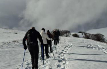 Agriturismo Le Case di Quarantotti - Foto 2