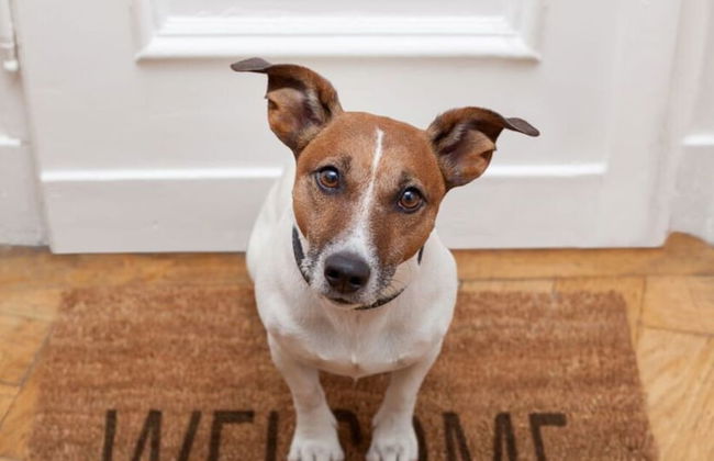 Fordebrise Modern Retreat - Photo 11