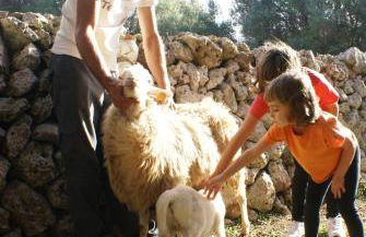 Agroturismo Llucmaçanes Gran - Foto 33
