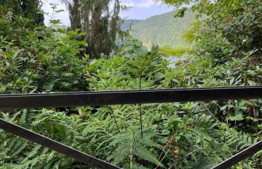 Noah - Seeleben auf Zeit am Rursee - Foto 8