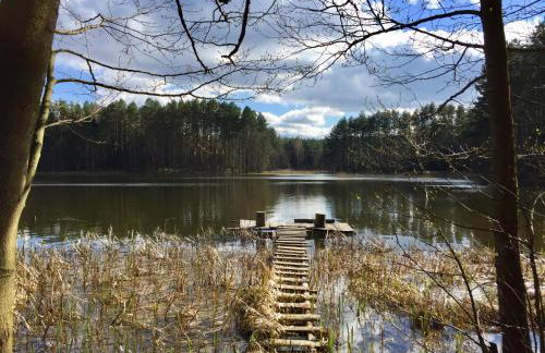 Sosnowy Zakatek - Foto 35