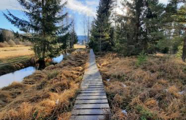 Appartement 13 im Haus Dreisessel - Foto 33