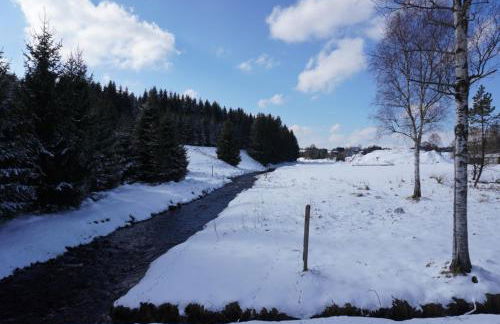 Ferienhaus am Erzgebirgskamm - Foto 31