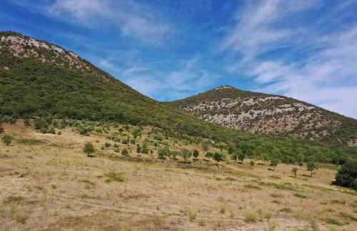 Mas des Anges - Photo 2