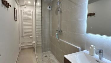 Cosy Studio Centre Strasbourg - Foto 3, Shower