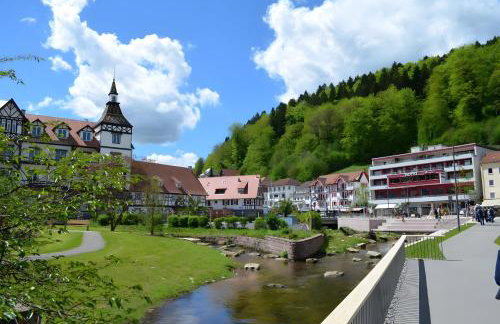 Ferienwohnungen Bauer - Foto 11