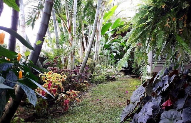 Cabañas Villa San Miguel - Photo 27