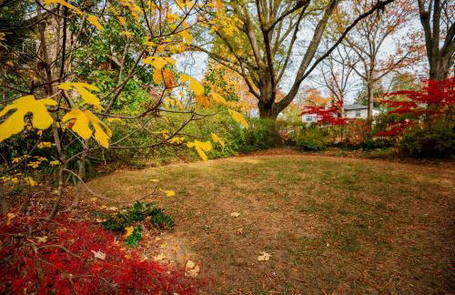 The Cinderella House - Foto 26