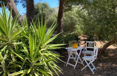 Casale dei mandorli - Foto 4