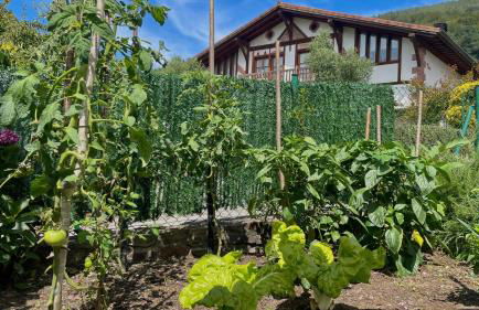 Matxiku Aurre - Foto 31