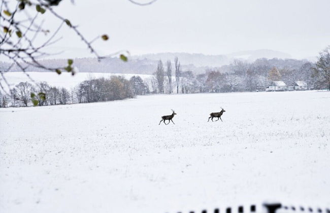 Holiday Home Wiesenhausel - Foto 9