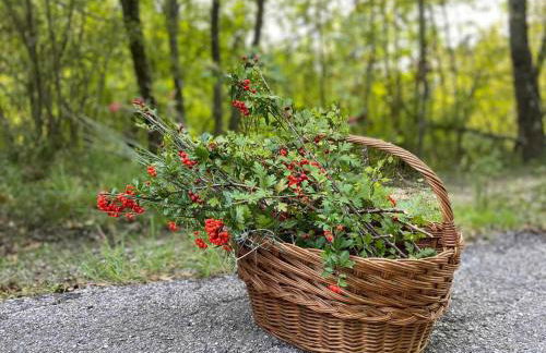 Casa Clorofilla - Umbria, Private Garden - Photo 40