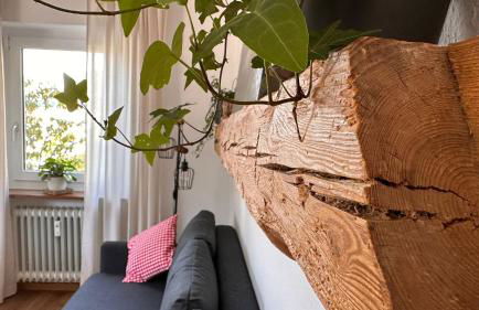 Schwarzwaldraum Schlossblick - Foto 22