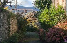 Little Plas - Foto 18