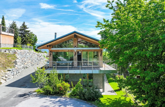 Les penguins - Foto 1