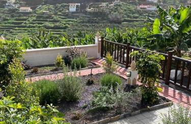 Banana House - Foto 29