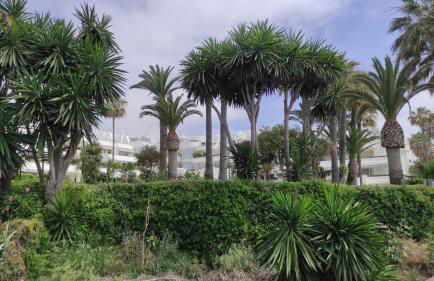 Casa Cachita - En 1ª línea de playa con maravillosas vistas - Photo 97