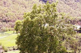 Apartahotel portal de leon - Foto 79