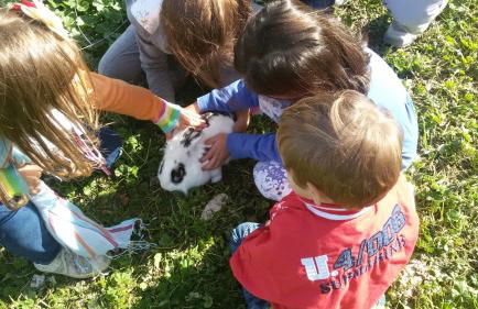 Masseria Salecchia - Foto 9