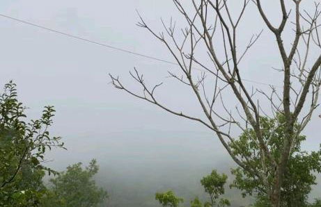 Casa Serra Negra - Foto 27