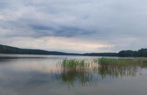 Otulony słońcem - domek do wynajęcia Marksewo - Foto 2