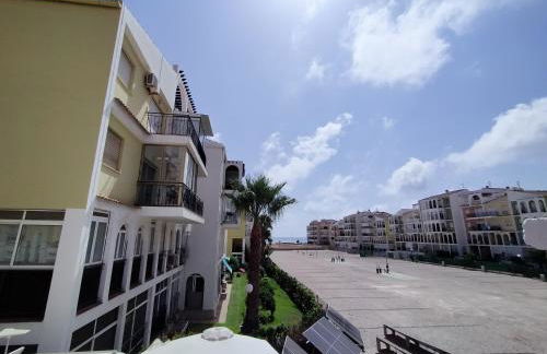 Palm House - Foto 22