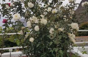 Apartamentos Casa María - Foto 40