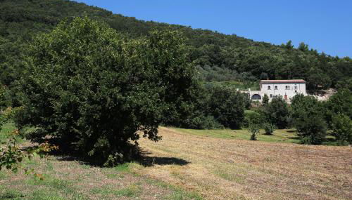 Antico Casolare Ceselenardi - Foto 4