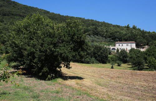 Antico Casolare Ceselenardi - Foto 4