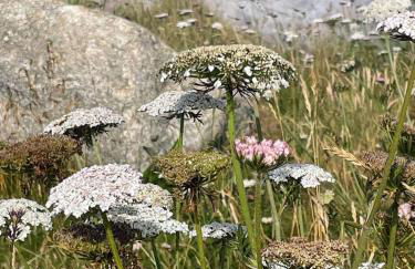 Villa Ty Koad 4 étoiles Piscine Intérieure 28C Plage et GR34 à 50m - Foto 78